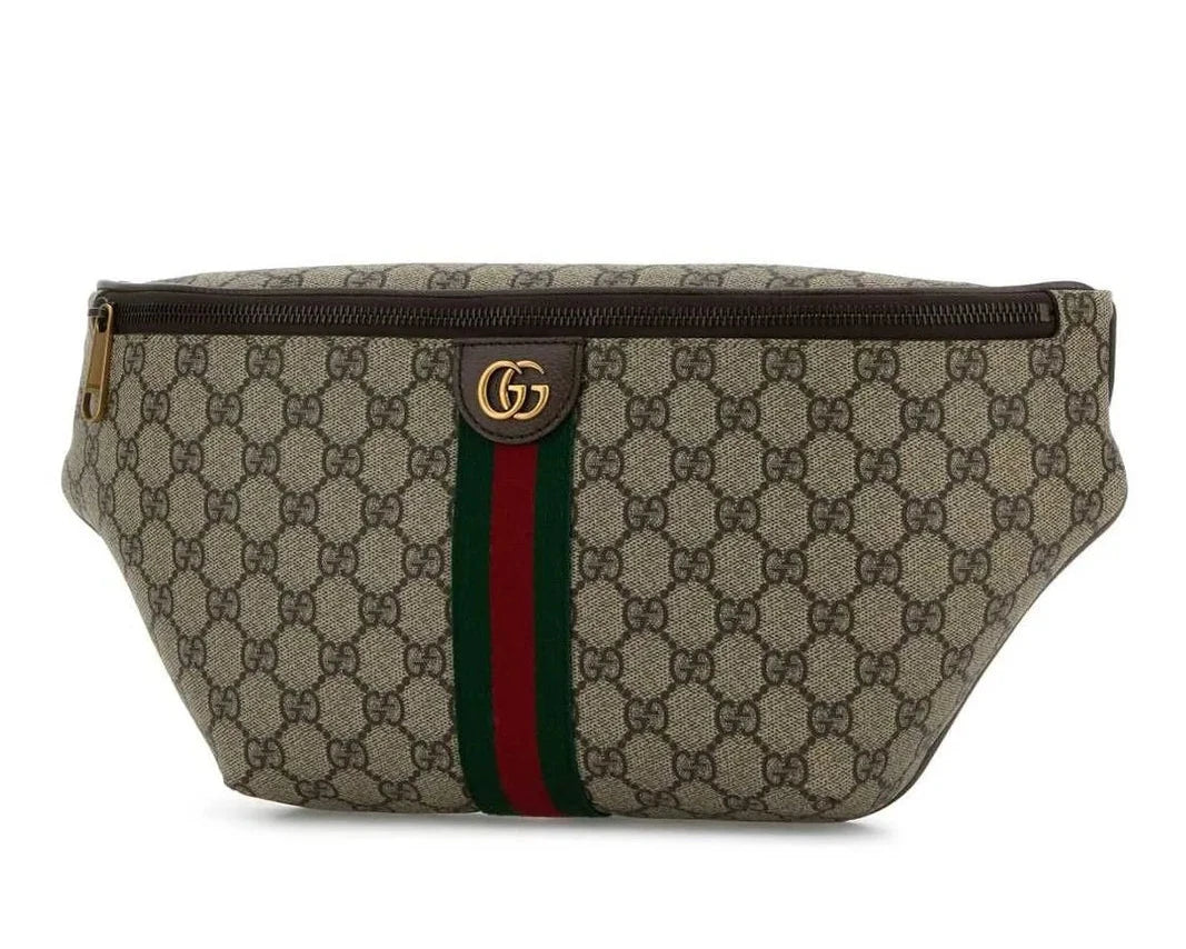 Gucci Ophidia Belt Bag